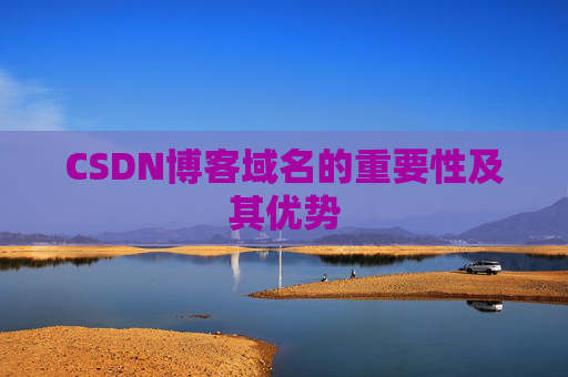 CSDN博客域名的重要性及其优势
